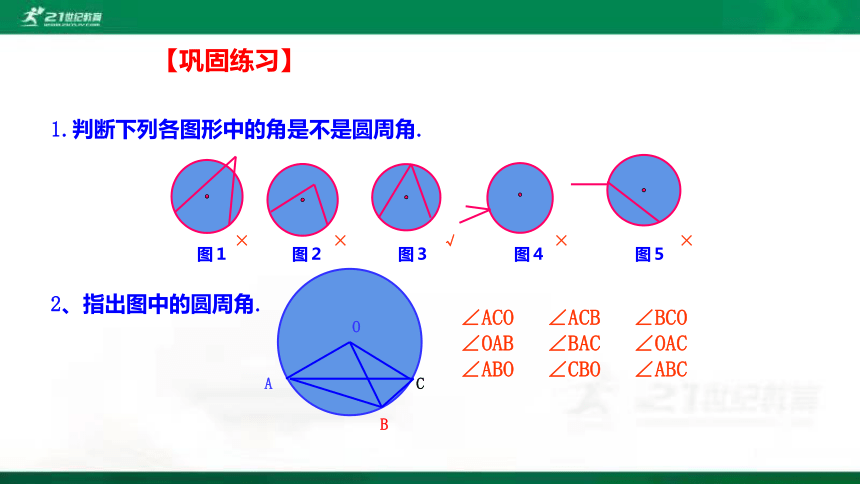 3.4圆周角和圆心角的关系   课件（共25张PPT）