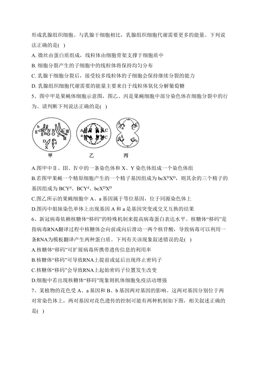 2023届新高考生物金榜猜题卷 【山东专版】（含答案）