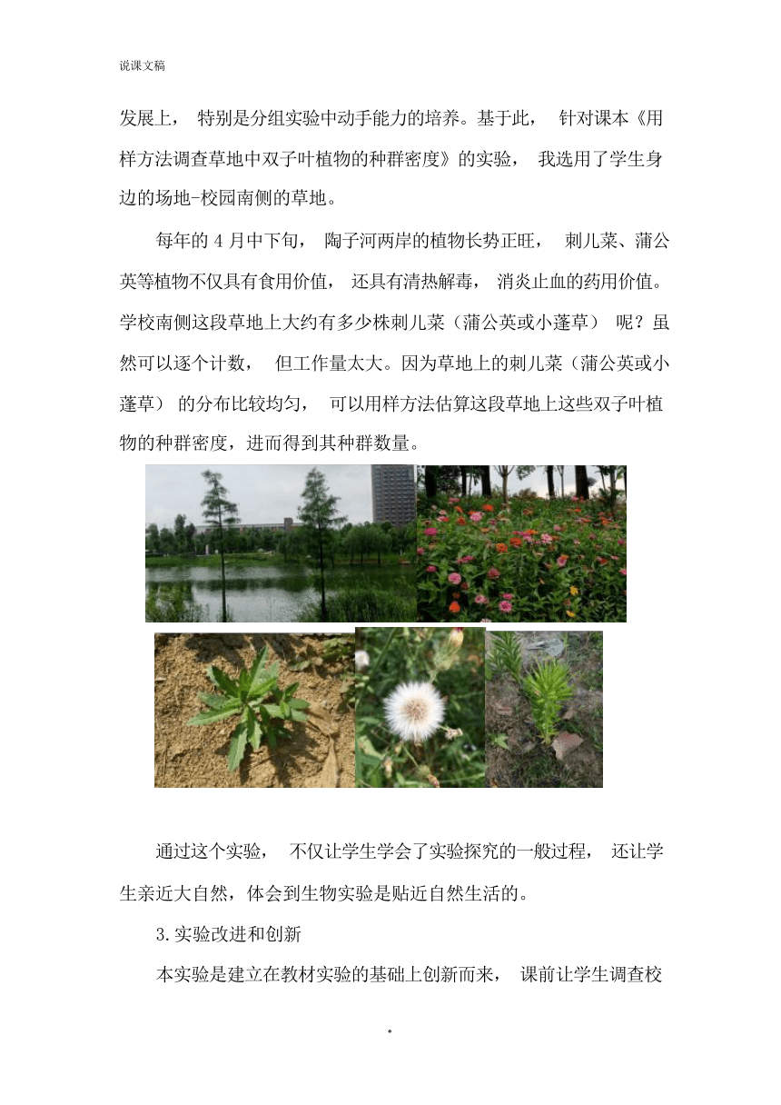 1.1 某种双子叶植物的种群密度说课稿-2023-2024学年高二上学期生物人教版选择性必修二