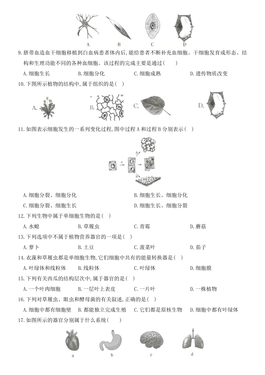 人教版2020年（秋）七年级生物上册：第二单元第二章《细胞怎样构成生物体》单元测试（Word版含部分答案解析）