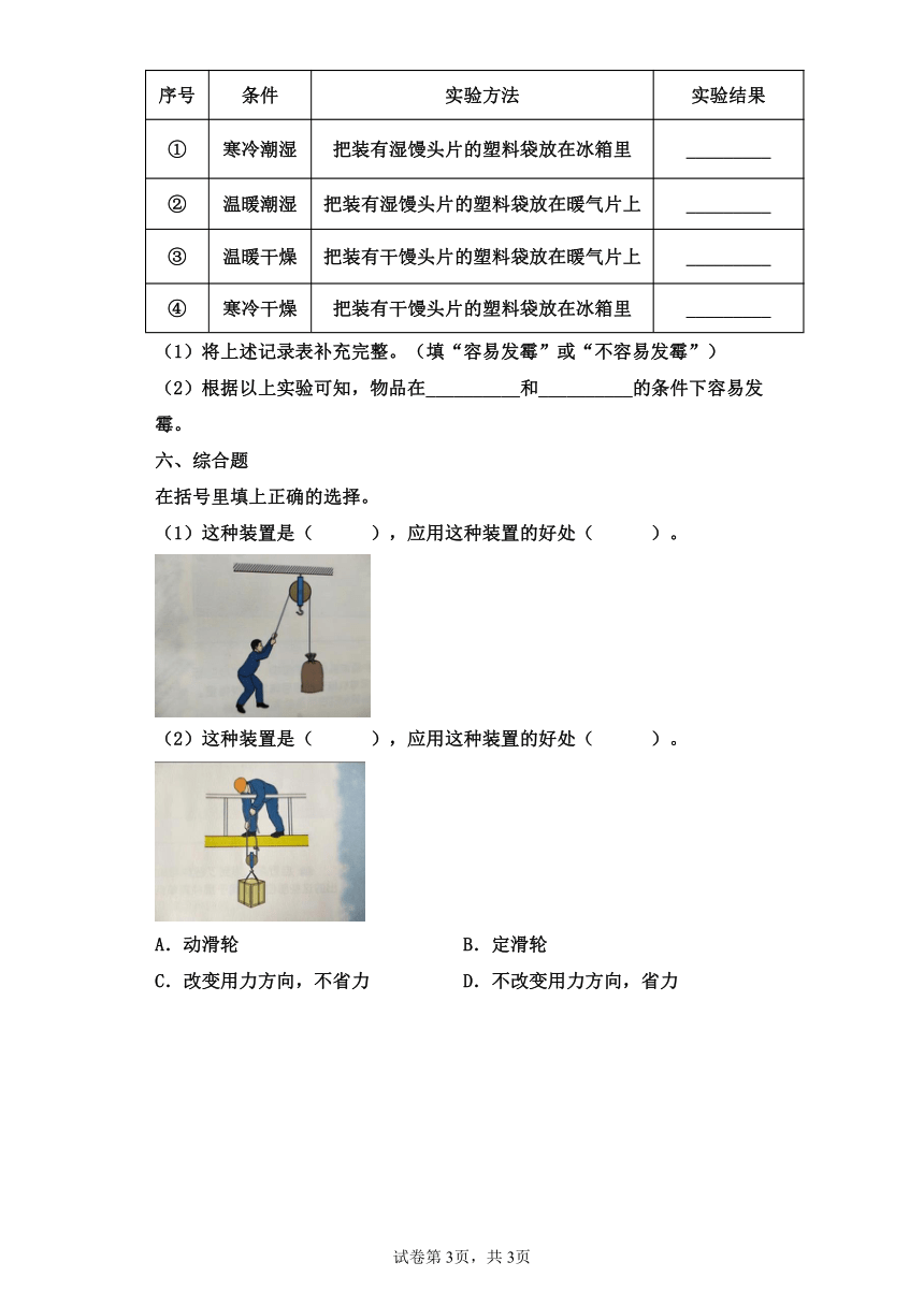 苏教版科学五年级下册期末综合复习（含答案）