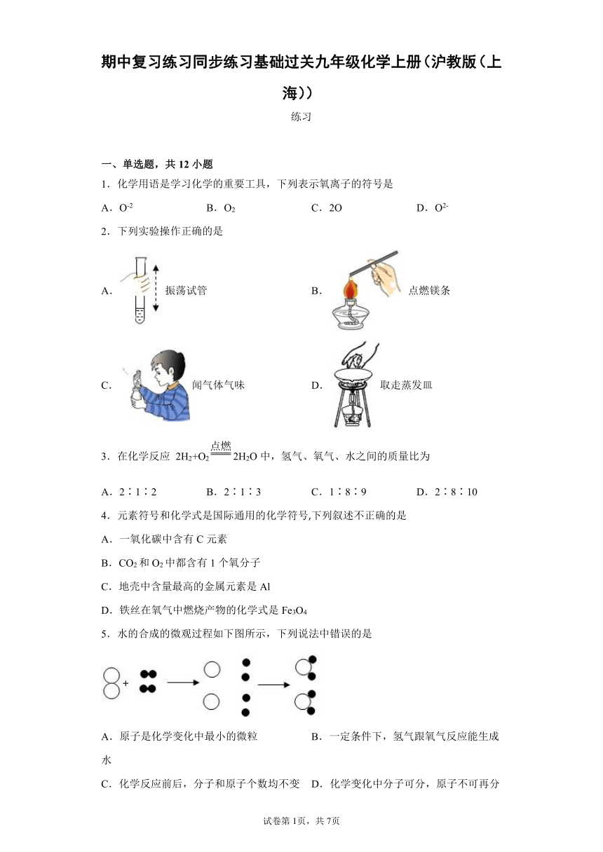 期中复习练习基础过关--2021-2022学年九年级化学沪教版（上海）第一学期（word版有解析）