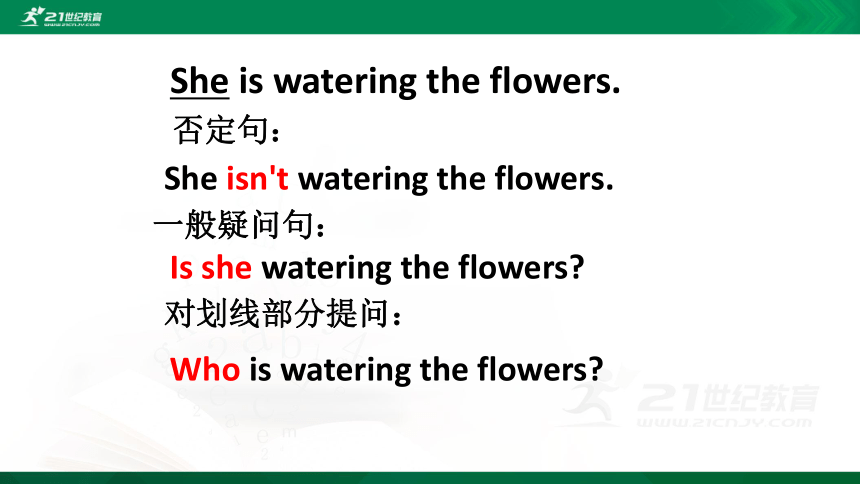 Unit 8 Natural disasters    Grammar 课件(共28张PPT)