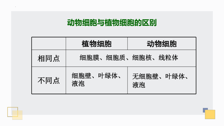 1.2.1细胞——细胞的结构 课件(共30张PPT)2022-2023学年冀教版生物七年级上册