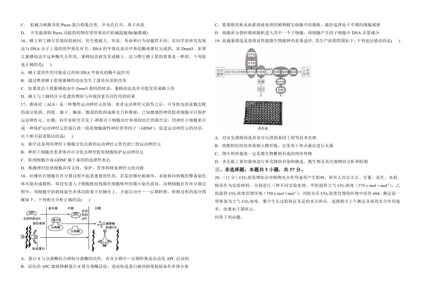 2023届江苏省南京市鼓楼区高三下学期5月考前冲刺模拟卷生物学试题（Word版含答案）