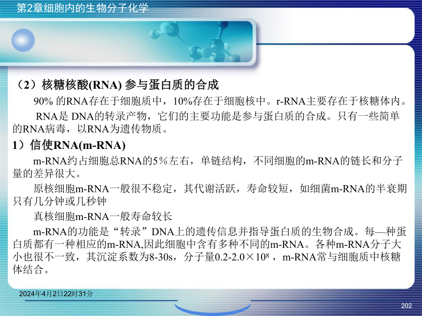 2.5核酸化学 课件(共47张PPT）- 《环境生物化学》同步教学（机工版·2020）