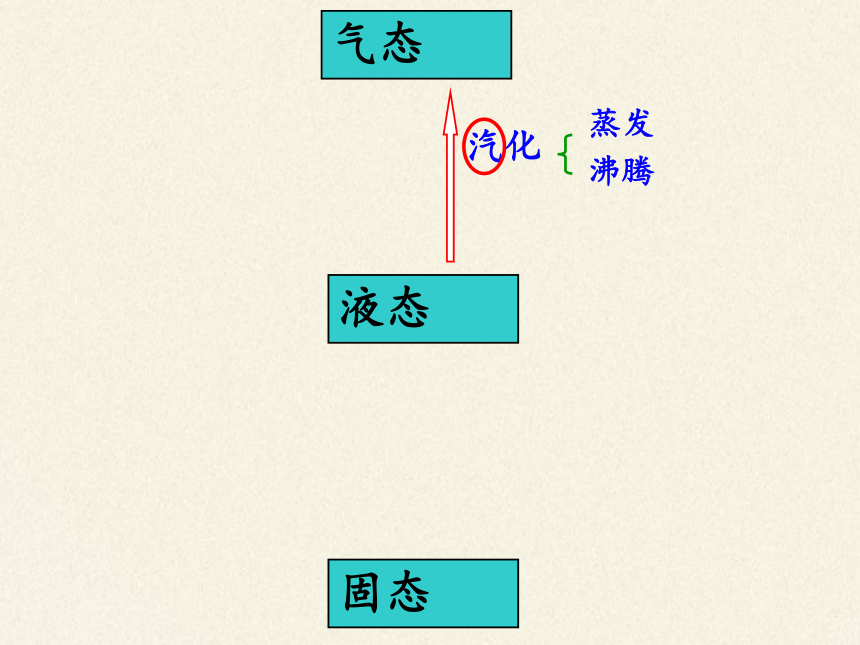 苏科版八年级上册物理 第一章 综合实践活动(2) 课件(共31张PPT)