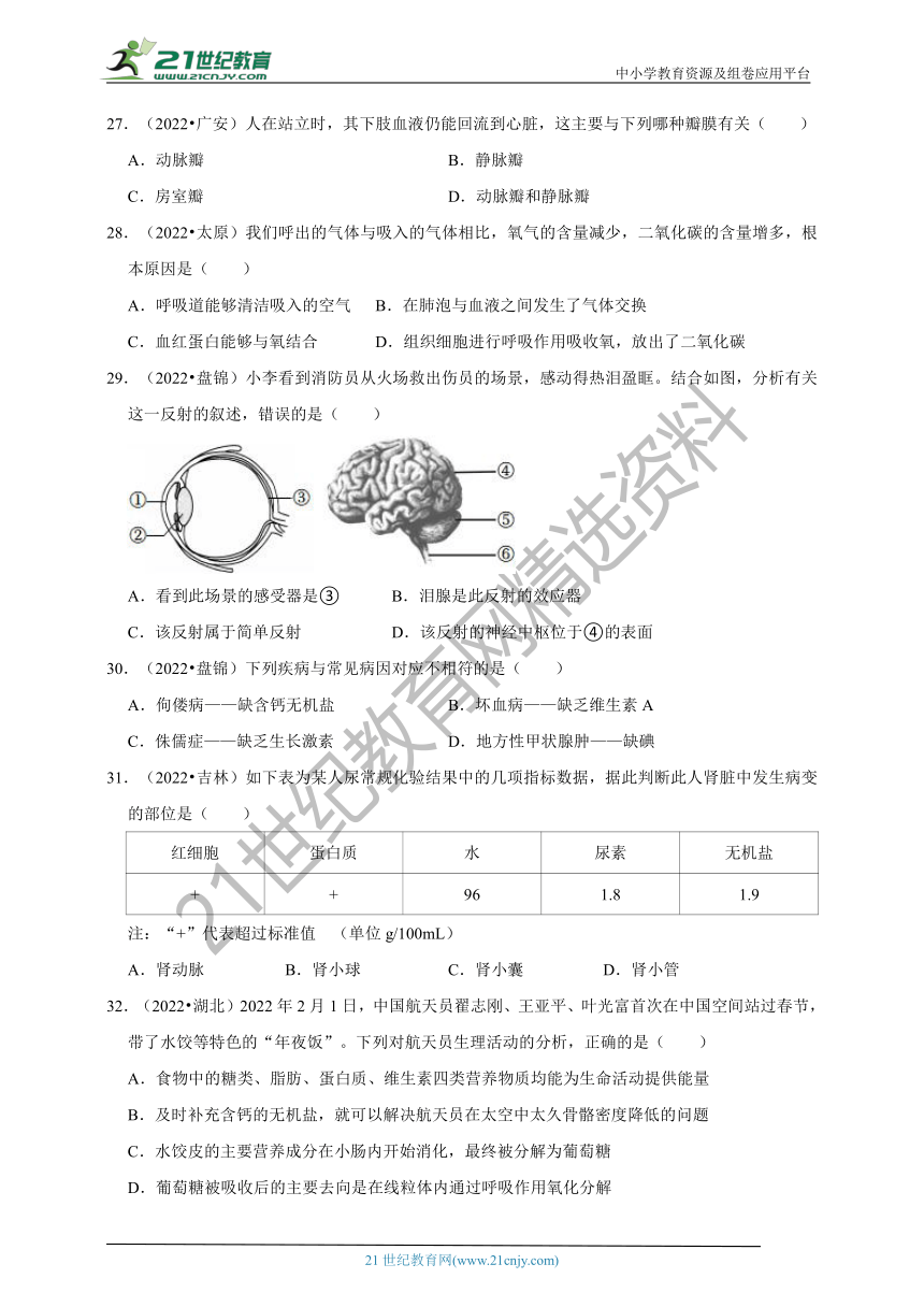 【备考2023】2022年中考生物真题分类汇编4——生物圈中的人部分（含解析）