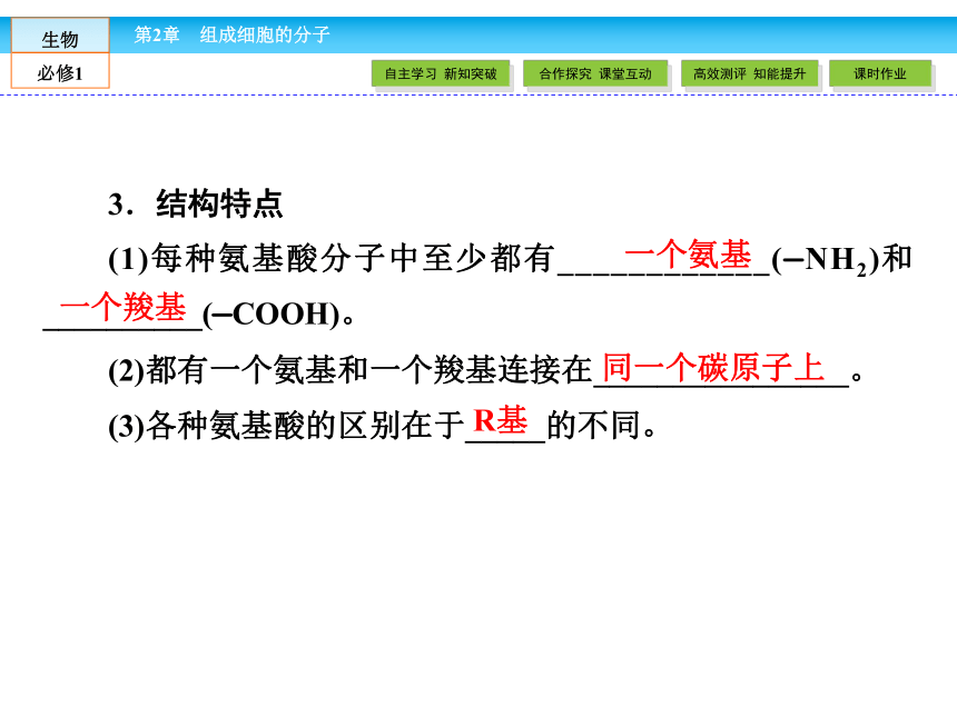 （人教版）高中生物必修一：2.2《生命活动的主要承担者——蛋白质》课件（共51 张PPT）