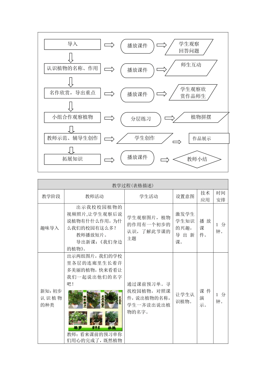 人美版（北京）   四年级下册美术教案-第12课 我们身边的植物 （表格式）