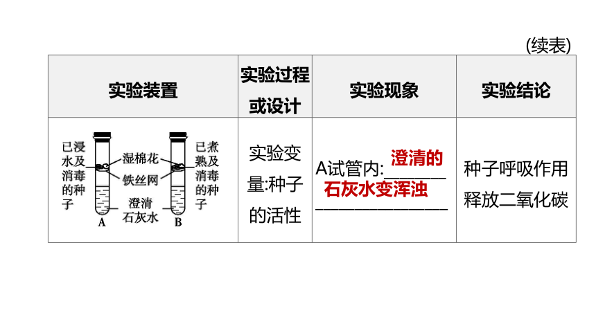 2022年浙江省中考科学一轮复习 第04课时　绿色植物的光合作用和呼吸作用（课件 64张PPT）