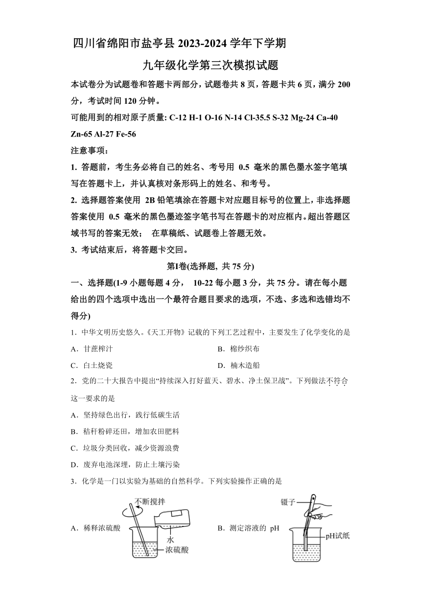 四川省绵阳市盐亭县2023—2024学年下学期九年级中考化学第三次模拟试题（含解析）