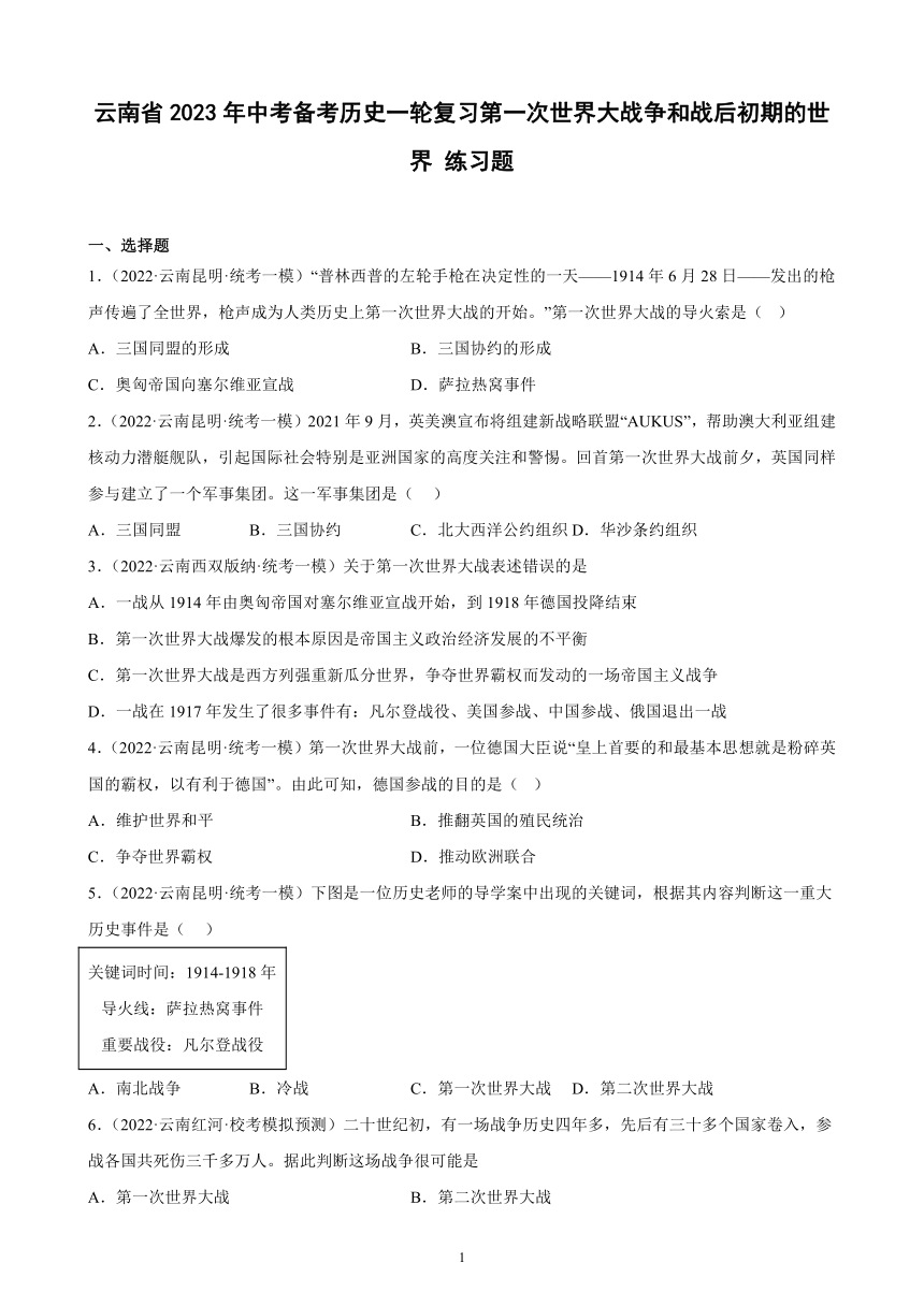 云南省2023年中考备考历史一轮复习第一次世界大战争和战后初期的世界 练习题（含解析）