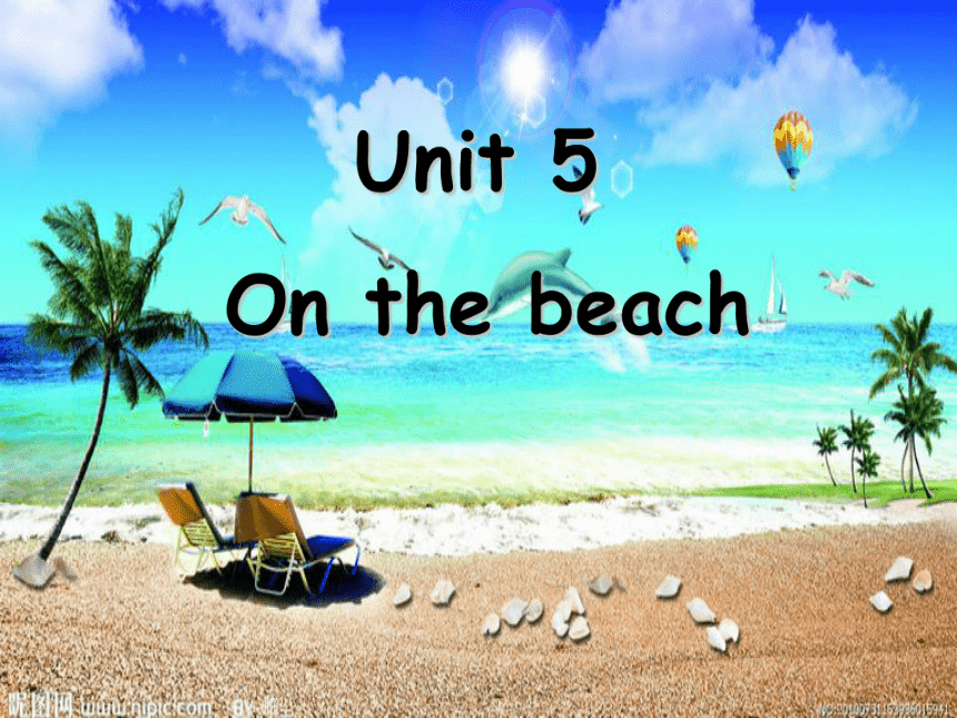 Unit5 On the beach Lesson3 课件(61张PPT)