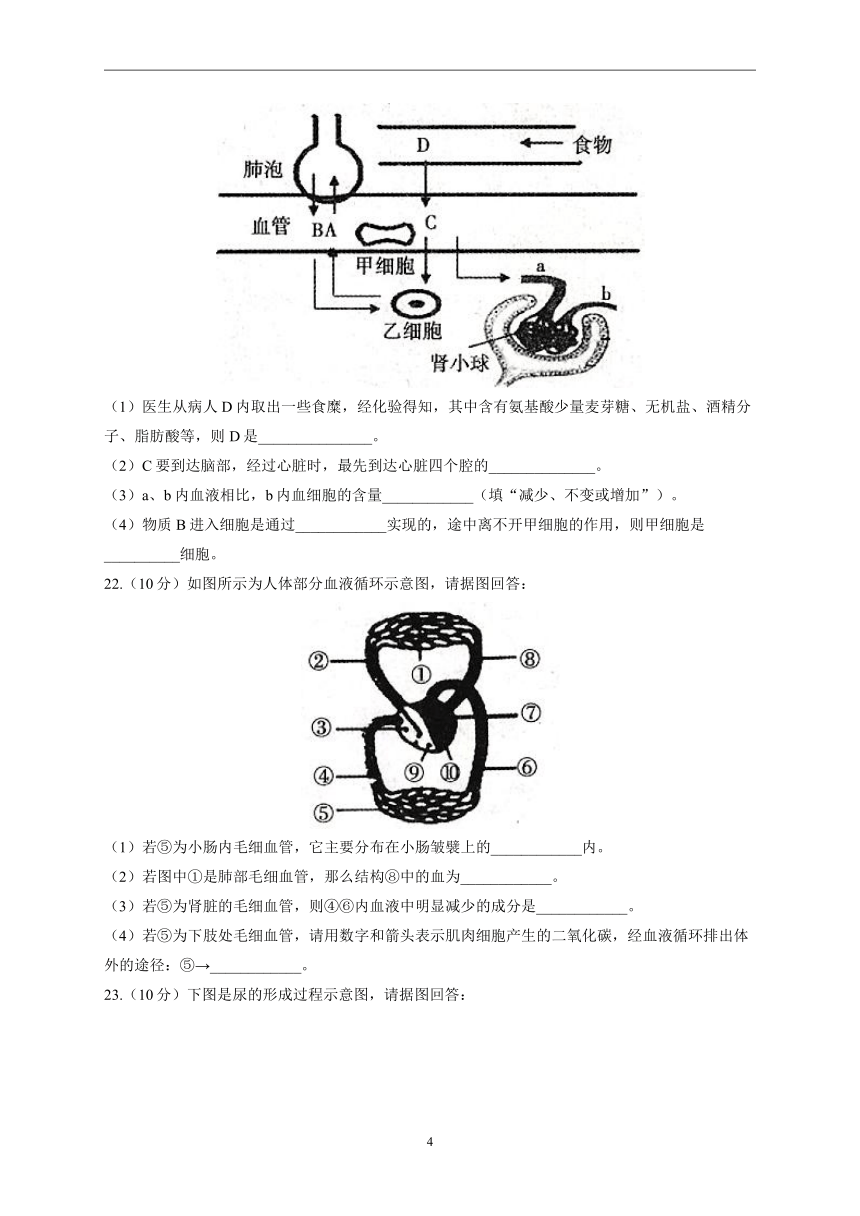 2022-2023学年苏教版八年级上学期开学摸底考试生物试卷A卷(word版  含答案）