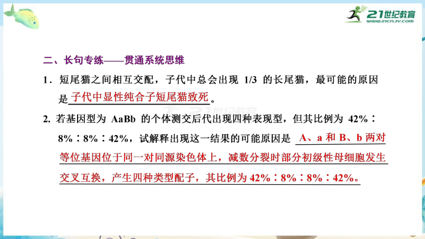 高三生物三轮复习专项突破4  孟德尔遗传定律及其应用(共33张PPT）