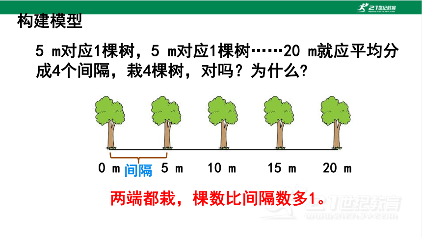 （2022秋季新教材）人教版 五年级数学上册7.1植树问题 两端都栽的植树问题 课件（共23张PPT)