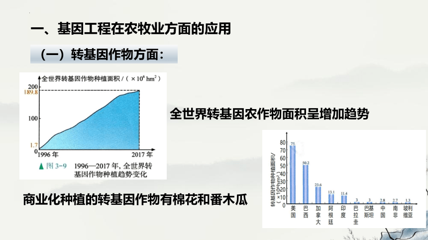 3.3基因工程的应用课件(共20张PPT)-人教版选择性必修3