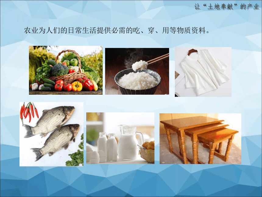 2021-2022学年湘教版地理八年级上册4.1农业课件（共42张PPT）