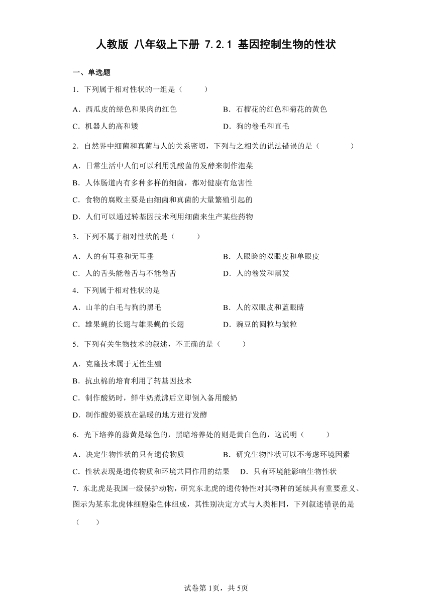 人教版八年级下册7.2.1基因控制生物的性状同步练习（word版，含解析）