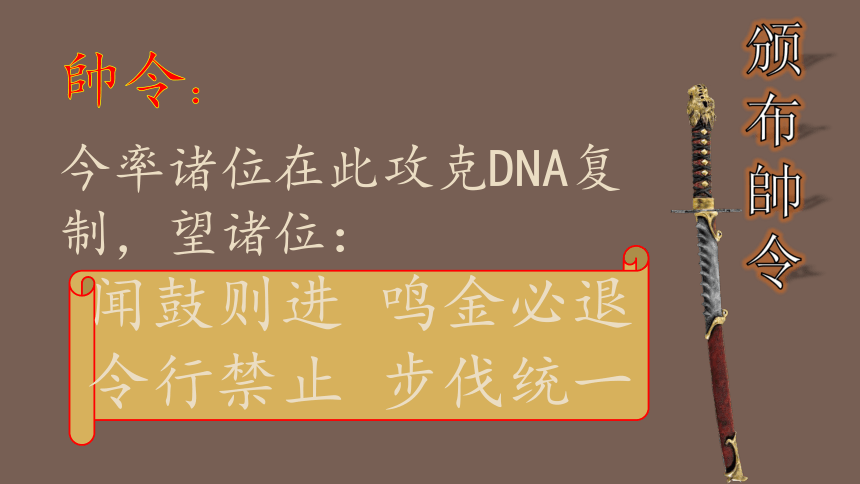 3.3 DNA的复制课件-2021-2022学年高一下学期生物人教版（2019）必修2(共15张PPT)