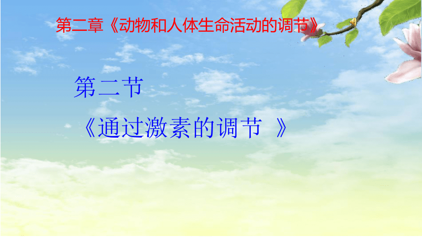 2022-2023学年高二上学期生物人教版必修32.2通过激素的调节课件（31张ppt）