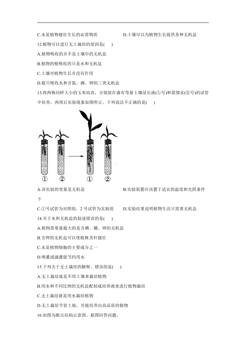 3.2.2植株的生长同步练习（word版含解析）2021-2022学年人教版生物七年级上册