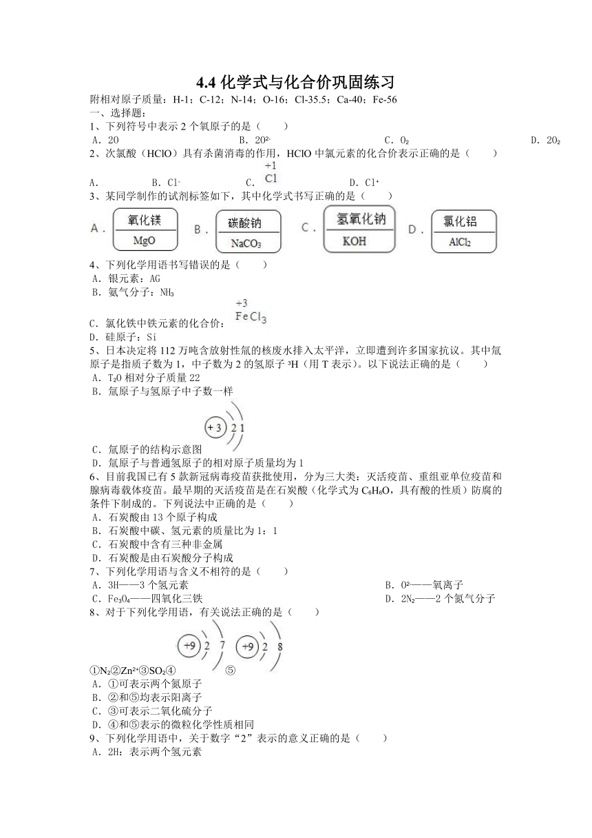 4.4化学式与化合价巩固练习(含答案)