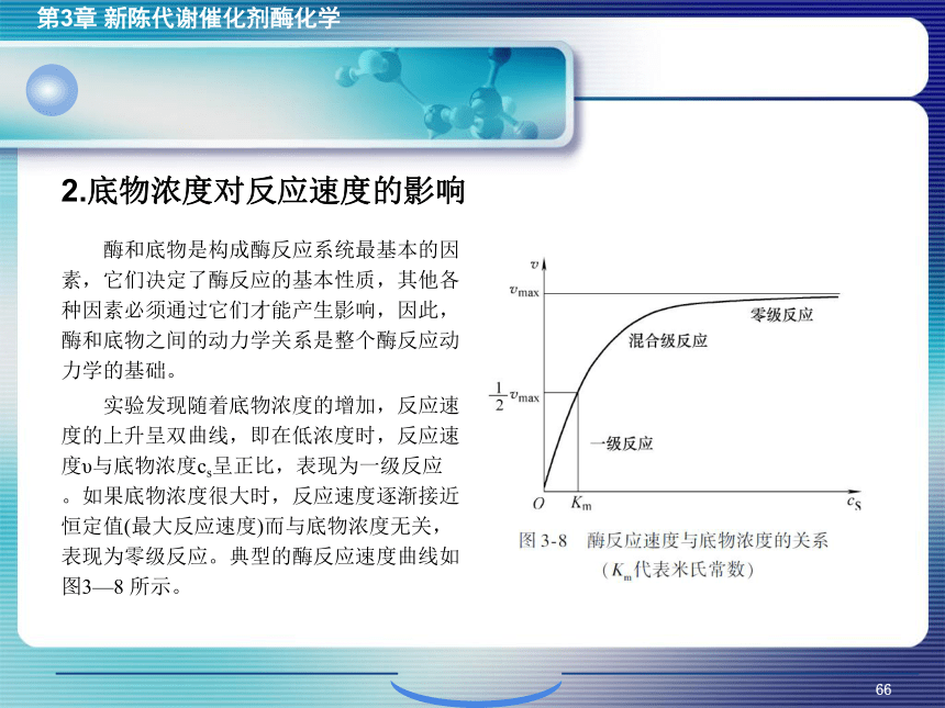 3.4酶促反应的动力学 课件(共41张PPT)- 《环境生物化学》同步教学（机工版·2020）