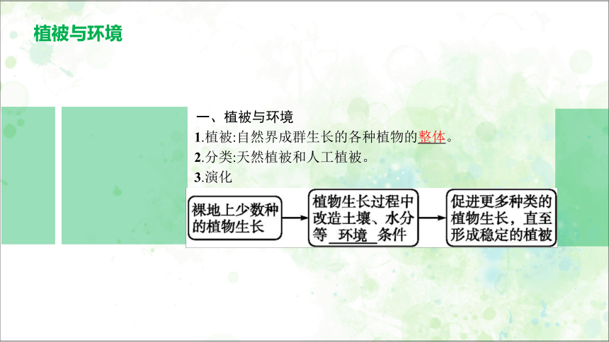 5.1 植被 （共28张ppt）