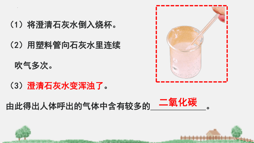 2021-2022学年苏教版生物七年级下册10.4人体内的气体交换课件(共24张PPT)