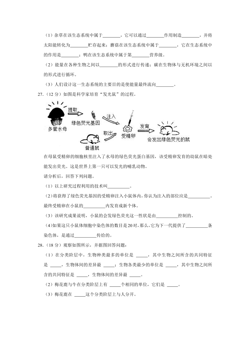 河北省邯郸市临漳县2020-2021学年八年级下学期末考试生物试卷（word版，含解析）