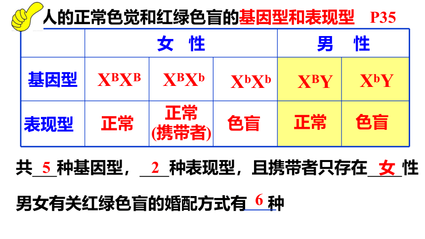 生物人教版（2019）必修2 2.3伴性遗传（共36张ppt）