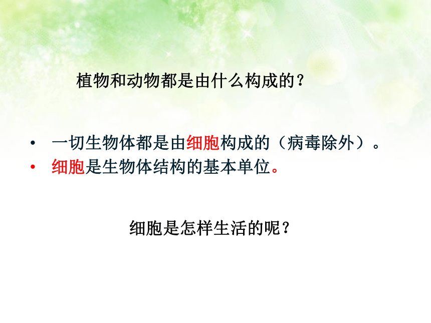 2.3.2细胞是生命活动的单位1北师大版七年级上册生物课件（共16张PPT）