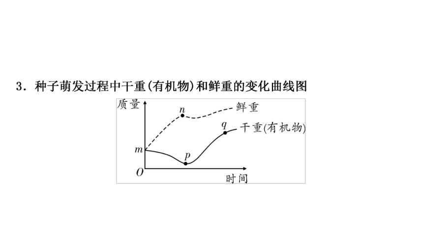 2023年人教版七年级生物上册复习专题★★第二章　被子植物的一生 课件