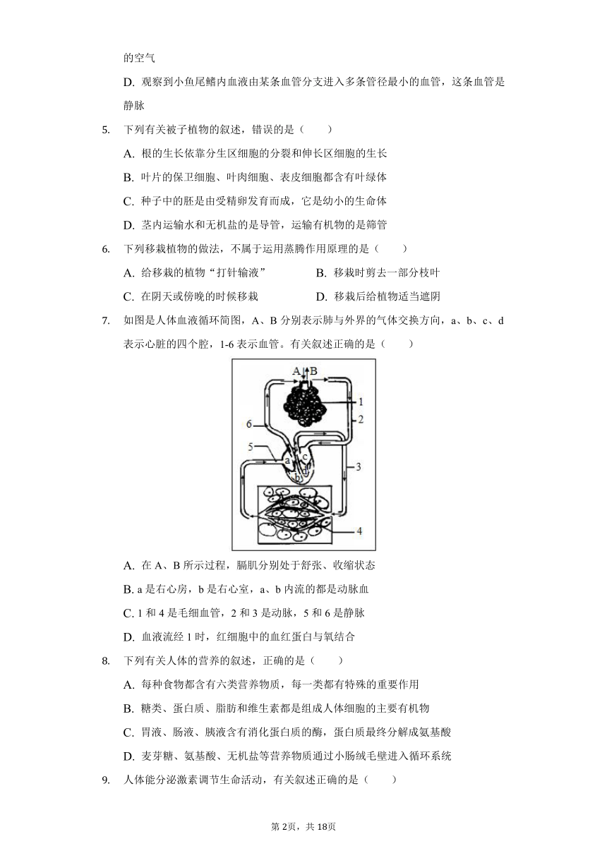 2020-2021学年山东省泰安市泰山区八年级（下）期中生物试卷（word版含解析）