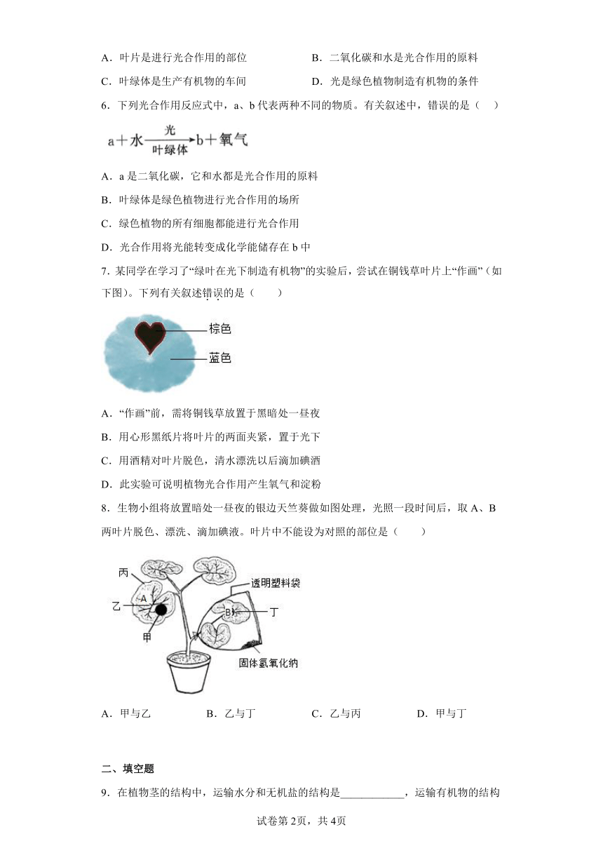 第4章 绿色植物是有机物的生产者 章节训练 （含答案）七年级上册生物 苏科版