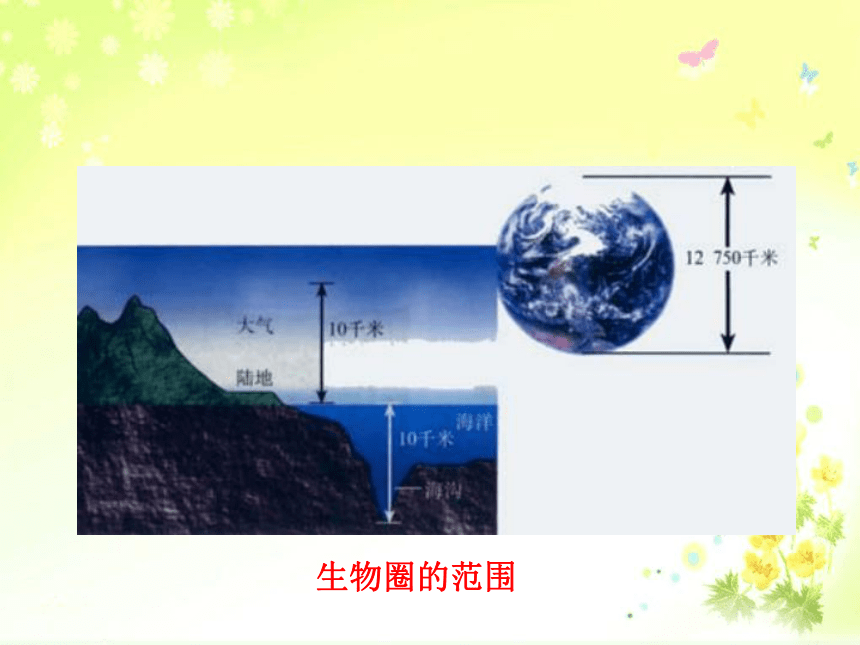 华东师大版七年级科学下册  5.3 生物圈（课件 35张PPT）