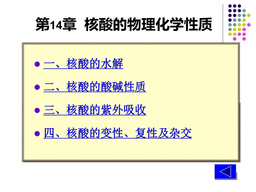 2020-2021学年高中生物竞赛核酸的物理化学性质课件 (36张PPT）