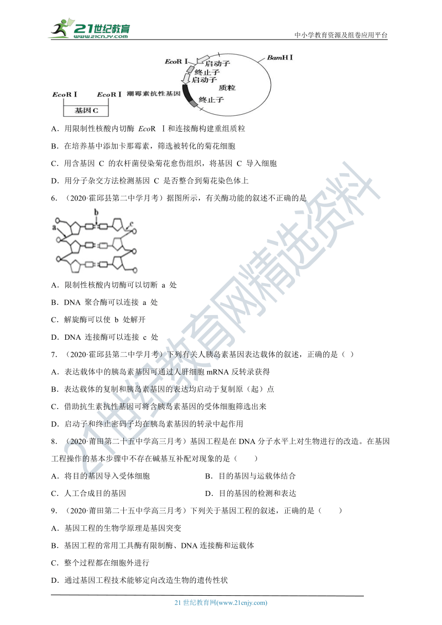 【高三生物新题专项分类汇编】考点21 基因工程（精品试题+答案详解）