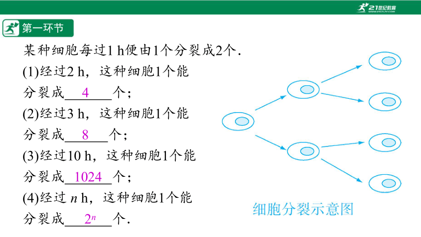 【五环分层导学-课件】2-13 有理数的乘方(1)-北师大版数学七(上)