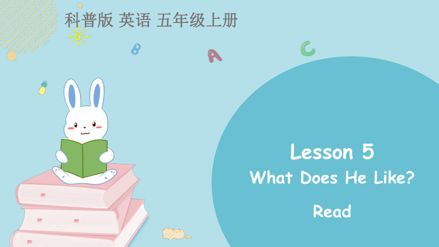 Lesson 5 What does he like? 第4课时课件(共24张PPT)