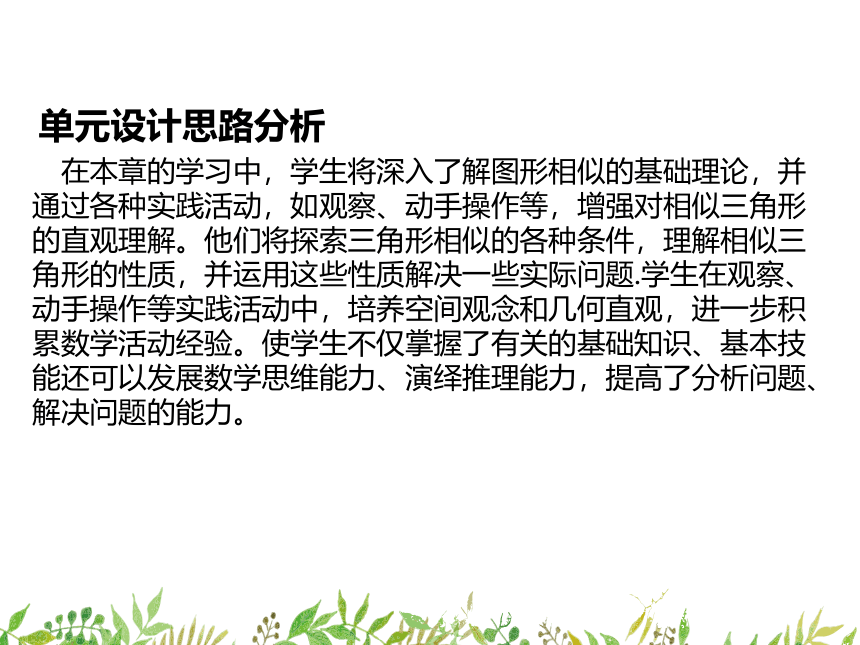 泰安市泰山区泰山实验中学2024年九年级大单元教学图形的相似（79张PPT）