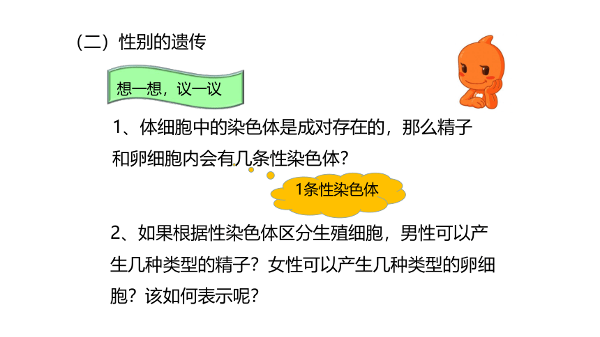 6.2.1.3人的性别决定-【精准备课】2021-2022学年八年级生物下册同步教学优质课件（冀少版）(共20张PPT)