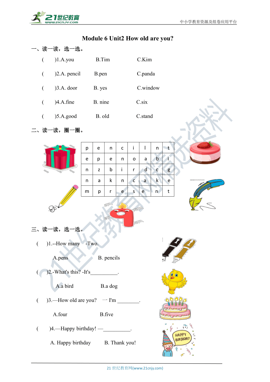 Module 6 Unit 2 How old are you? 同步练习 (含答案)