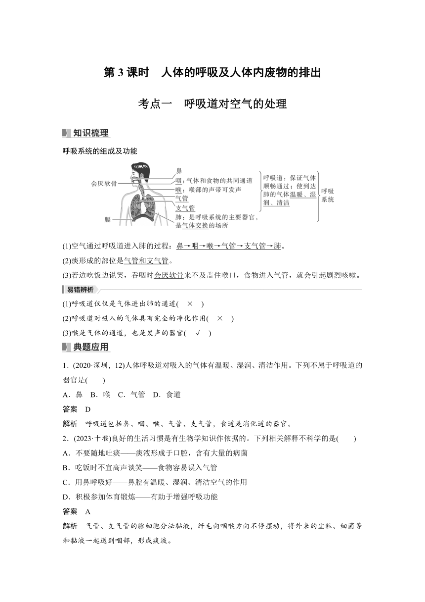 2024年中考生物一轮复习考点精讲  学案（含解析） 主题四　第3课时　人体的呼吸及人体内废物的排出