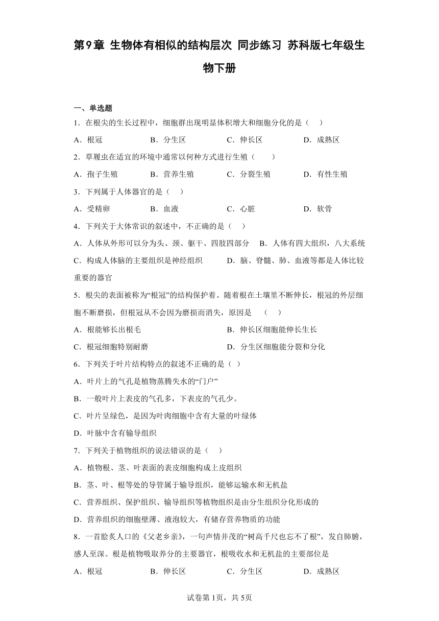 第9章 生物体有相似的结构层次 同步练习 （含答案）苏科版七年级生物下册