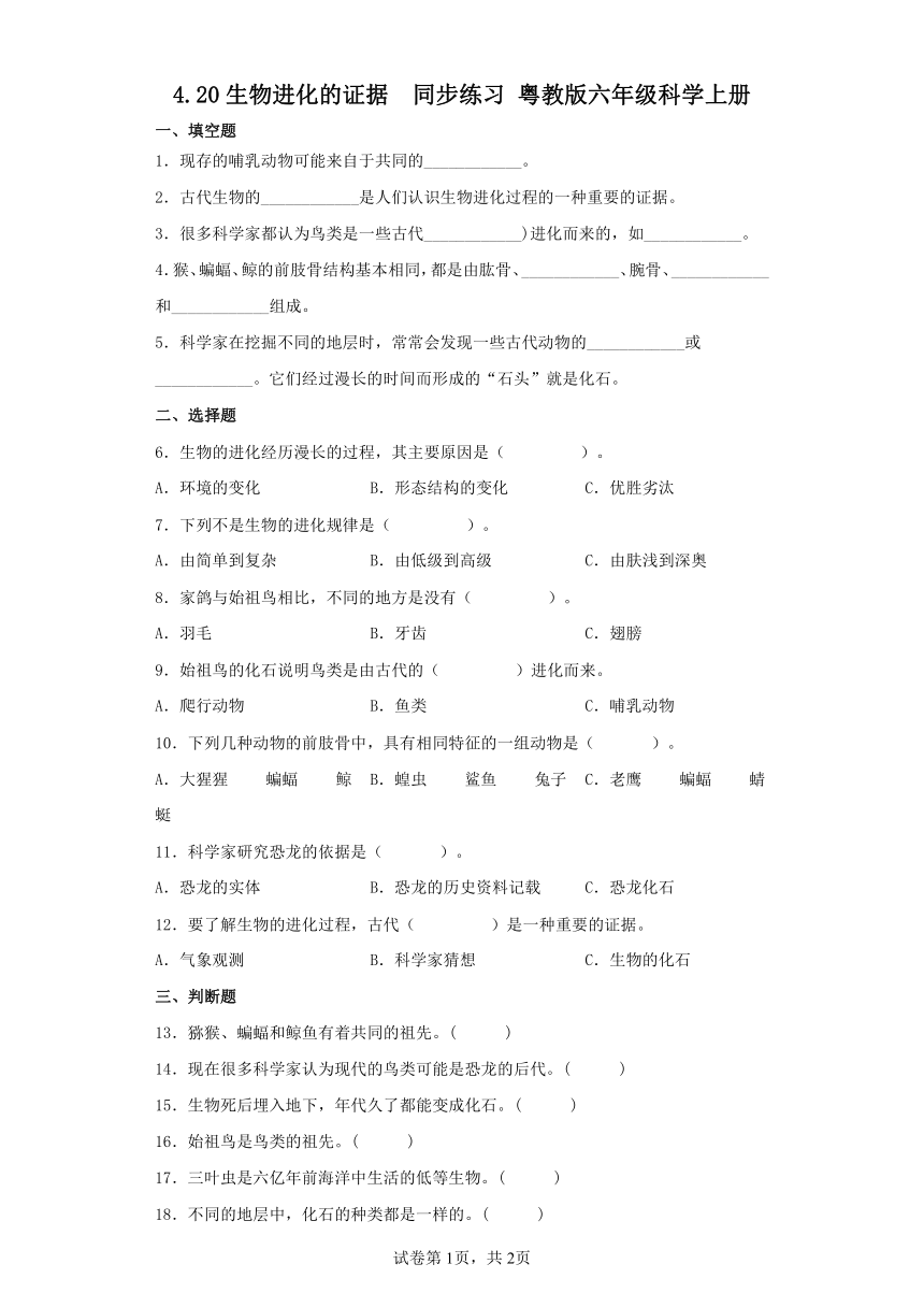 粤教粤科版（2017秋）六年级科学上册4.20 生物进化的证据 同步练习（含答案）