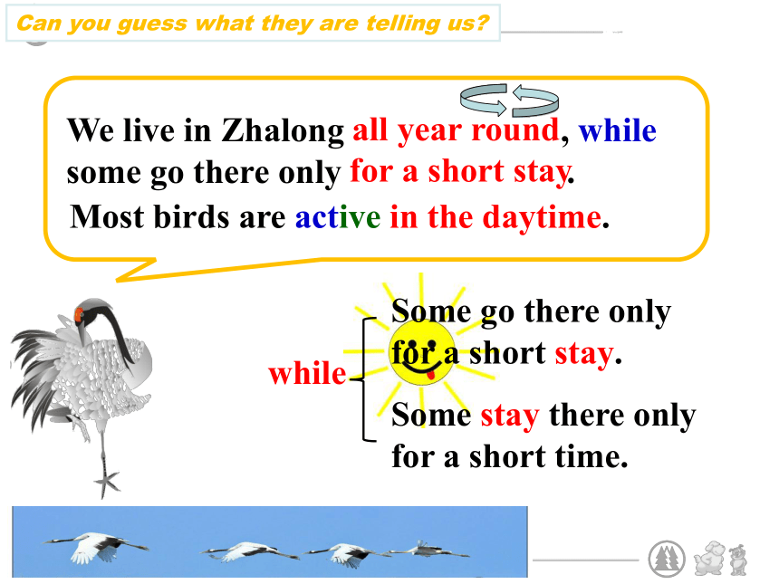 Unit 6 Bird watching Reading 2： Birds in Zhalong 课件（22张PPT，无音频）