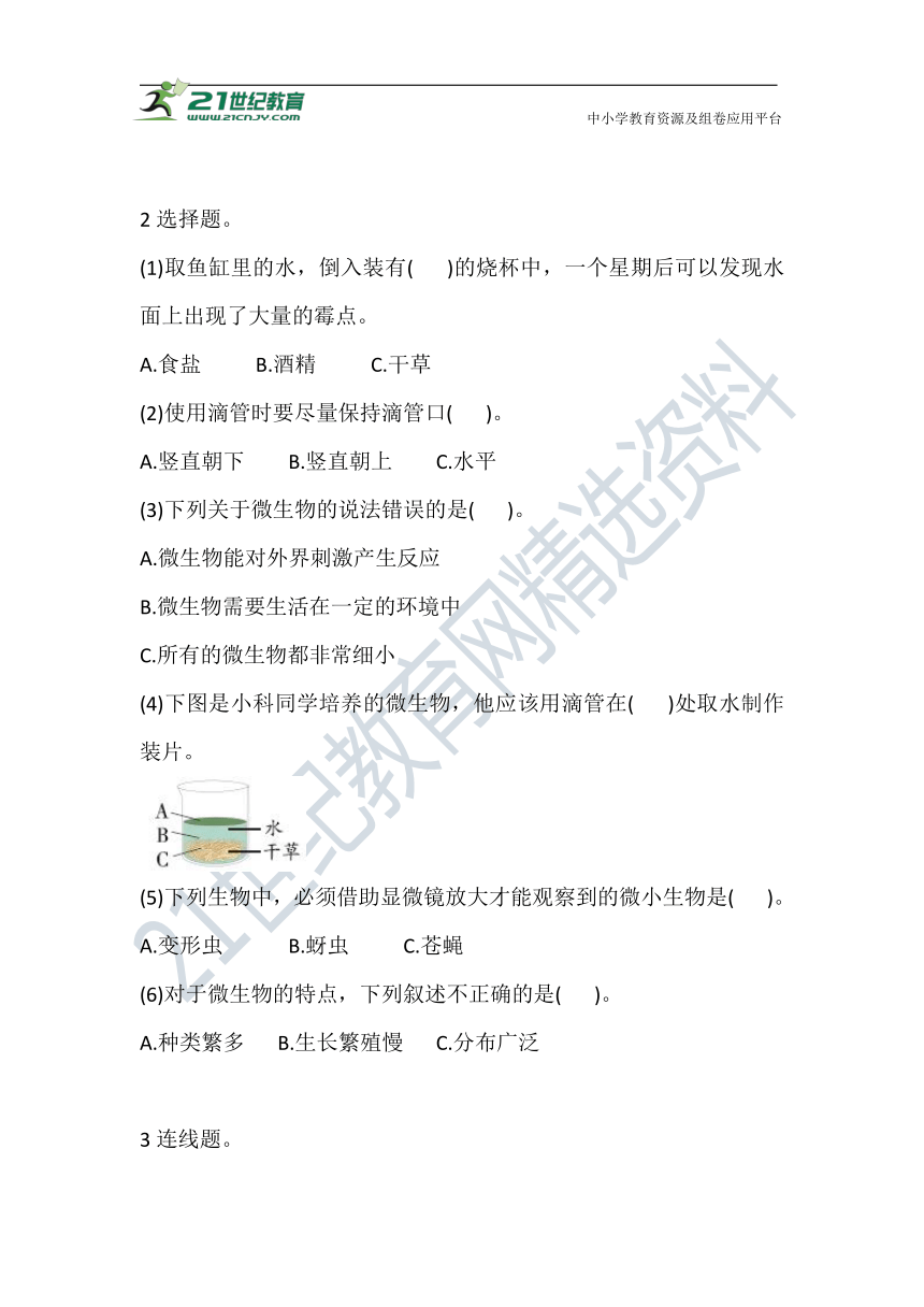 6 观察水中微小的生物 巩固练习（含答案）